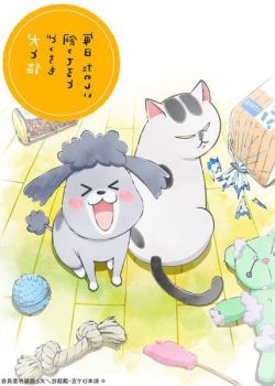 Phim Inu to Neko Docchi mo Katteru to Mainichi Tanoshii