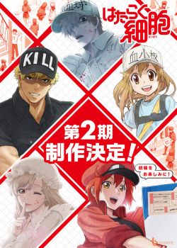 Hataraku Saibou 2nd Season